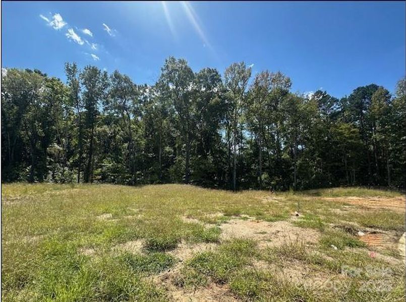 Backing to Mature Trees