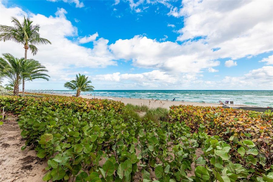 Natural landscape and outdoor views near  in Hallandale Beach (Image 32).