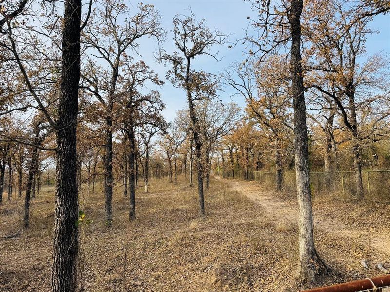 Natural landscape and outdoor views near in Hico (Image 22). Natural landscape and outdoor views near in Hico (Image 22).
