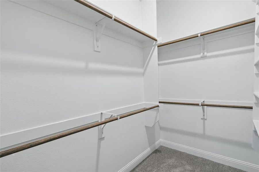 Walk in closet featuring carpet Walk in closet featuring carpet