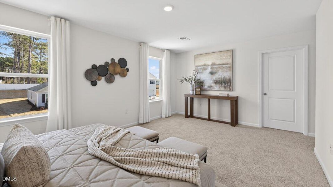 229 Palomino Wy-20 229 Palomino Wy-20