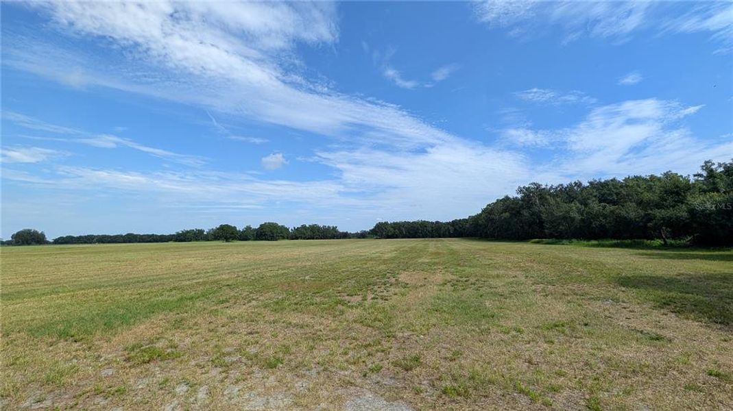 Natural landscape and outdoor views near  in Wauchula (Image 45).