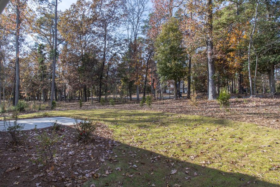 Natural landscape and outdoor views near  in Chapin (Image 61).