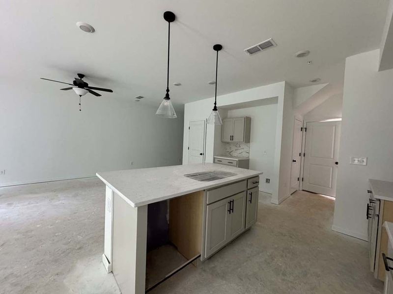 Kitchen featuring Artisan Collection Finishes Construction Progress