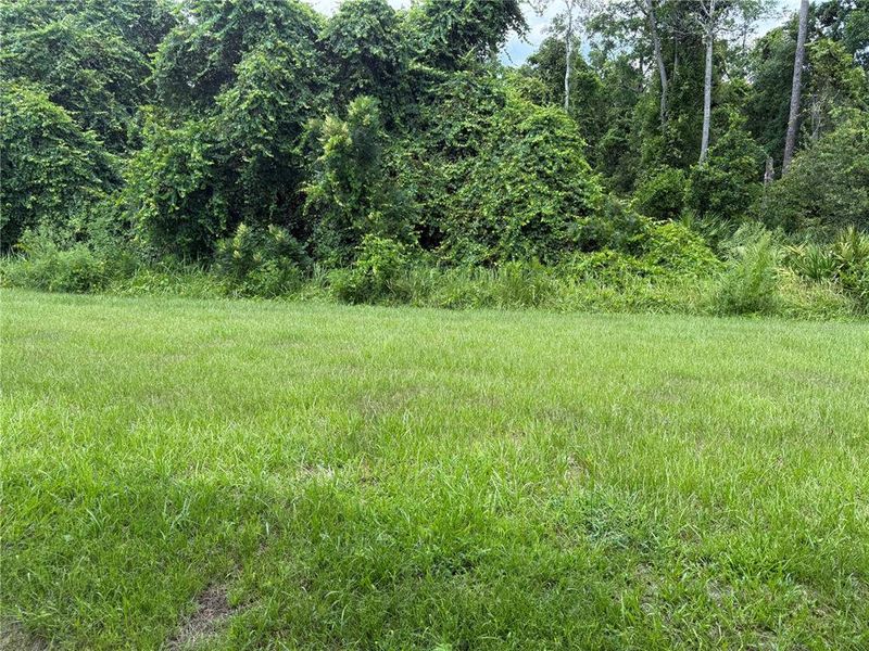 back with no neighbors