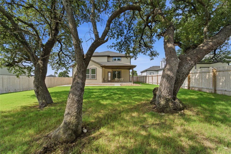 Mature trees frame this verdant backyard, offering shade and natural beauty. Mature trees frame this verdant backyard, offering shade and natural beauty.