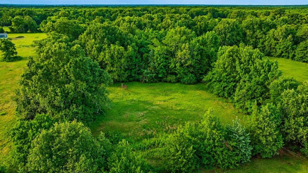 Natural landscape and outdoor views near in Clarksville (Image 33). Natural landscape and outdoor views near in Clarksville (Image 33).