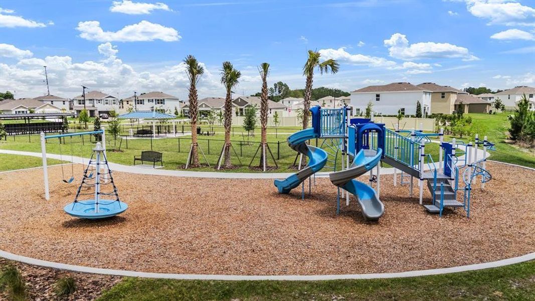 Community amenities in Deerbrook, Land O' Lakes (Image 30).