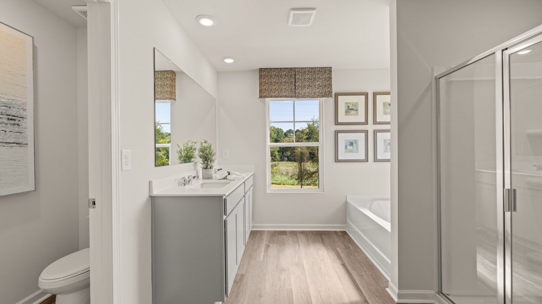 Representative furnished interior of a home built from the Halton by D.R. Horton in Jackson Landing, Jefferson (Image 53).
