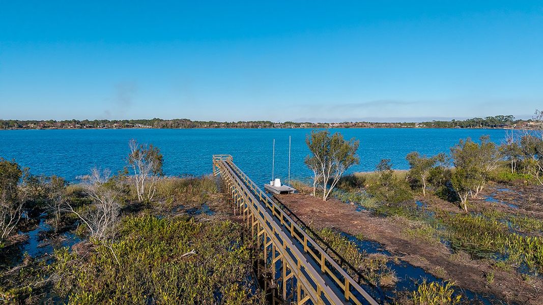 Natural landscape and outdoor views near Lochside in Mount Dora (Image 38). Natural landscape and outdoor views near Lochside in Mount Dora (Image 38).