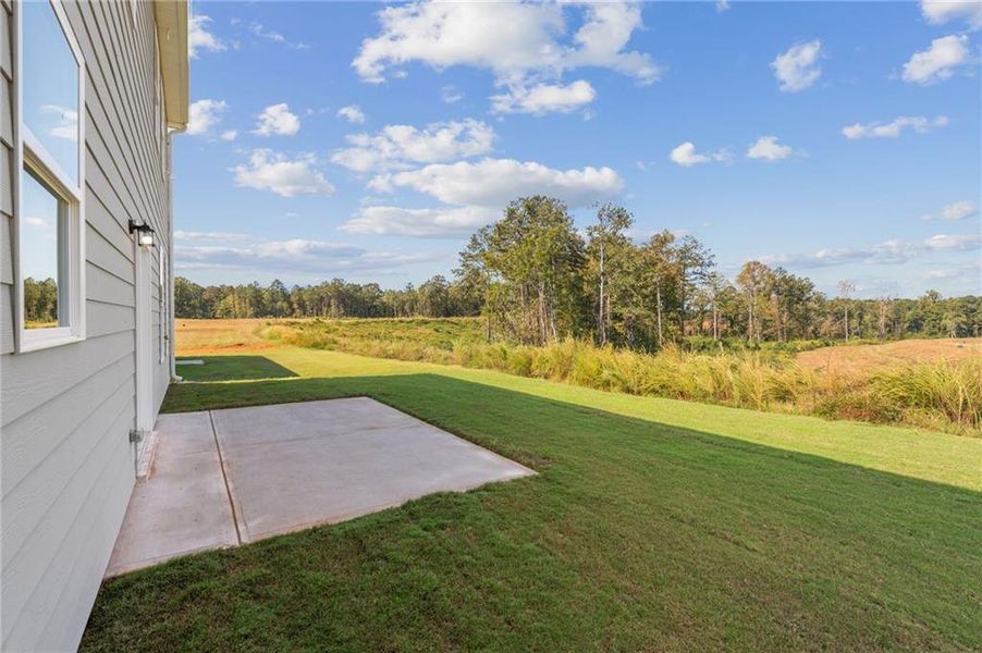 Exterior details and patio area of a home in The Brooke at Rivertown, South Fulton (Image 23).