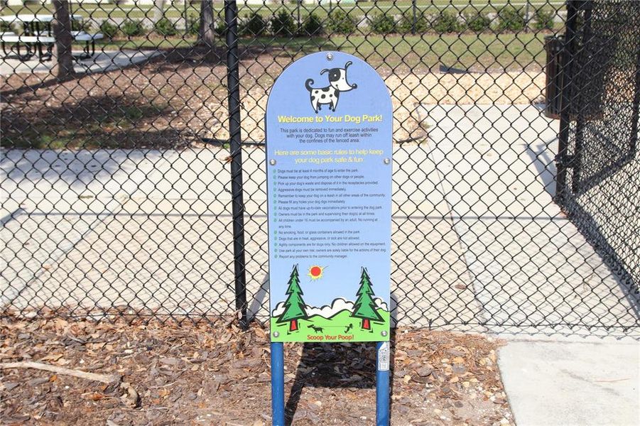 Dog Park