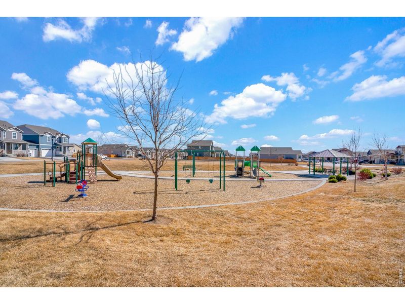 Community amenities in Hidden Valley – Clover Collection, Severance (Image 33).