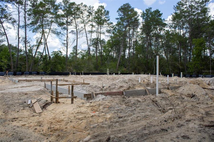 Site preparation for new homesites in , Beverly Hills (Image 6).