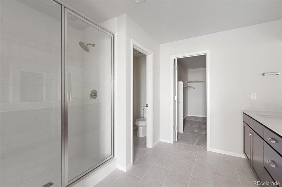 Spacious, unfurnished interior of a new home in , Brighton (Image 25).