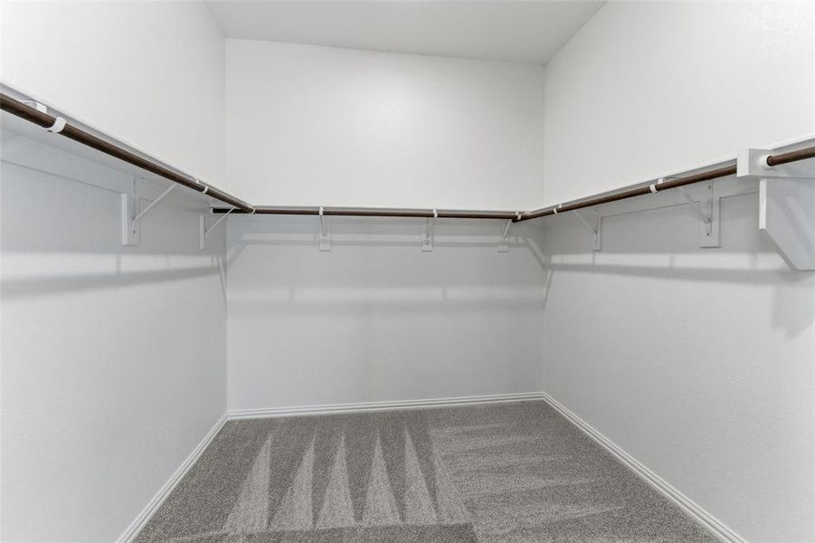 Walk in closet featuring light colored carpet
