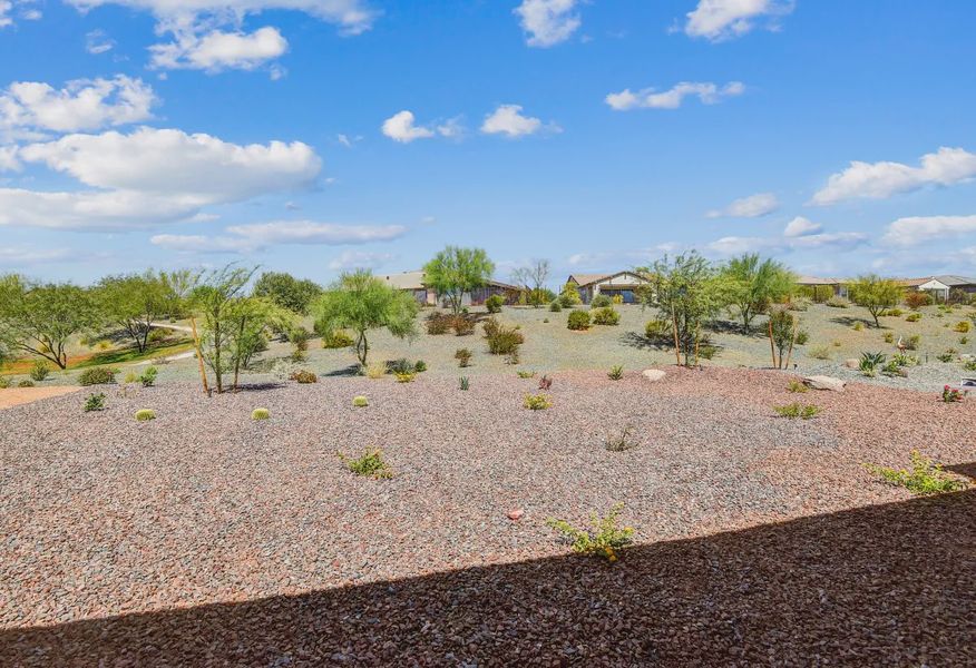 Trilogy Verde River Cordoba HS 1359 Backyard - 15 of 15 Trilogy Verde River Cordoba HS 1359 Backyard - 15 of 15