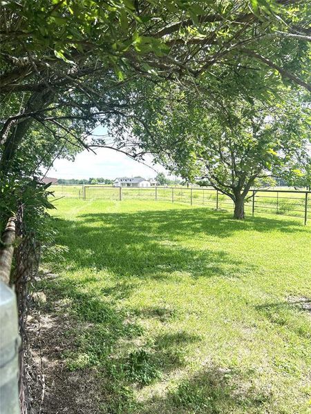 Natural landscape and outdoor views near in Alvarado (Image 17). Natural landscape and outdoor views near in Alvarado (Image 17).
