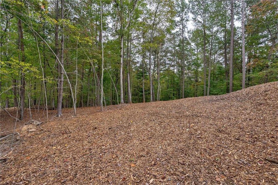 Natural landscape and outdoor views near  in Ellijay (Image 50).