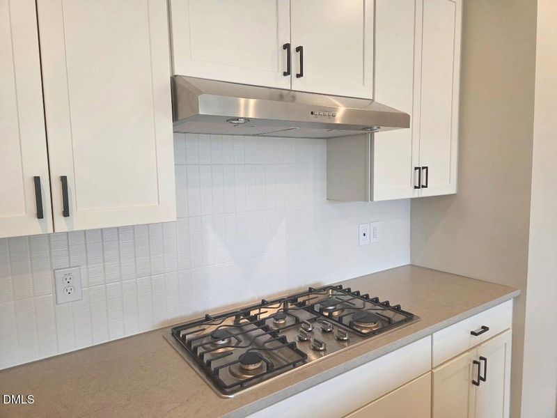 Gas Range & Vented Hood