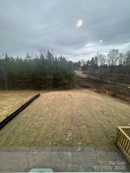 View of backyard from primary bedroom.