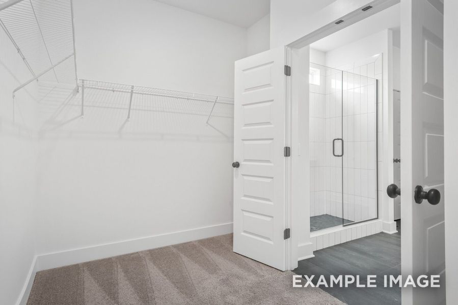 Spacious, unfurnished interior of a new home in Woods Crossing, Gallatin (Image 73).