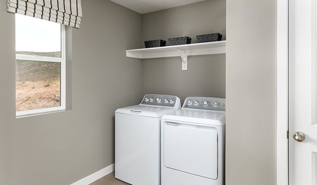 Ammolite-Z924-Cordero Laundry