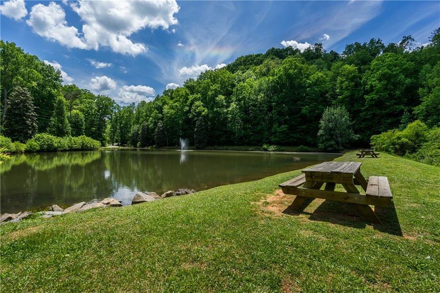Natural landscape and outdoor views near  in Ellijay (Image 46).