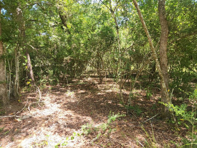 Natural landscape and outdoor views near in Coldspring (Image 34). Natural landscape and outdoor views near in Coldspring (Image 34).