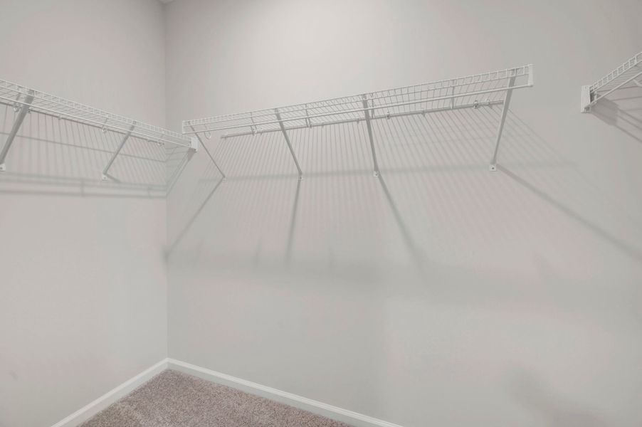 Owner's Closet