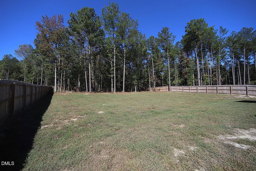 Wooded / Private / Fenced Lot