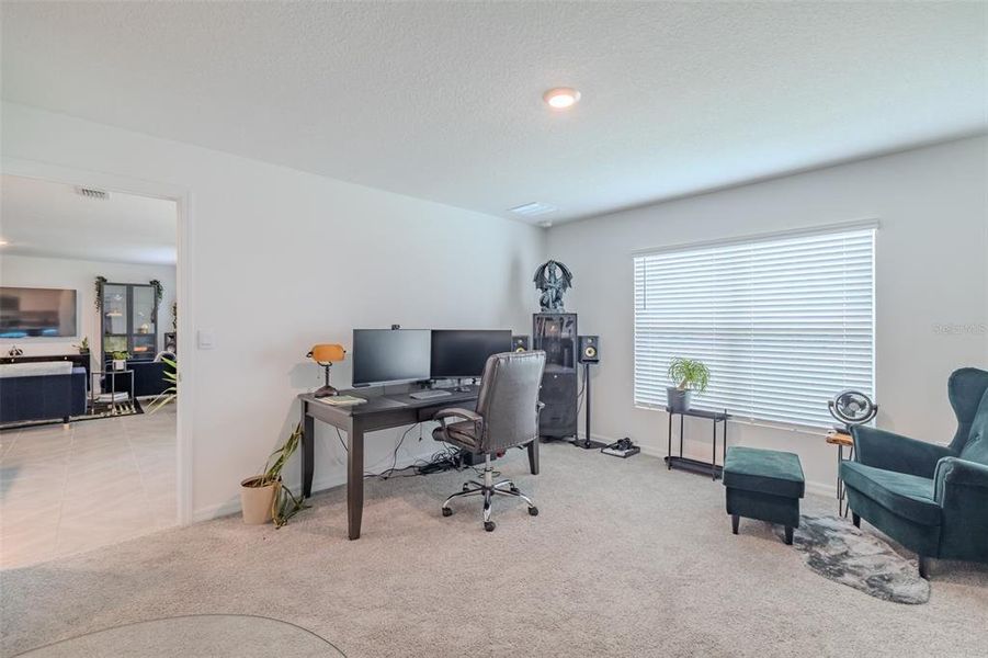 Furnished interior view inside a new home in Brookside, Ruskin (Image 28). Furnished interior view inside a new home in Brookside, Ruskin (Image 28).