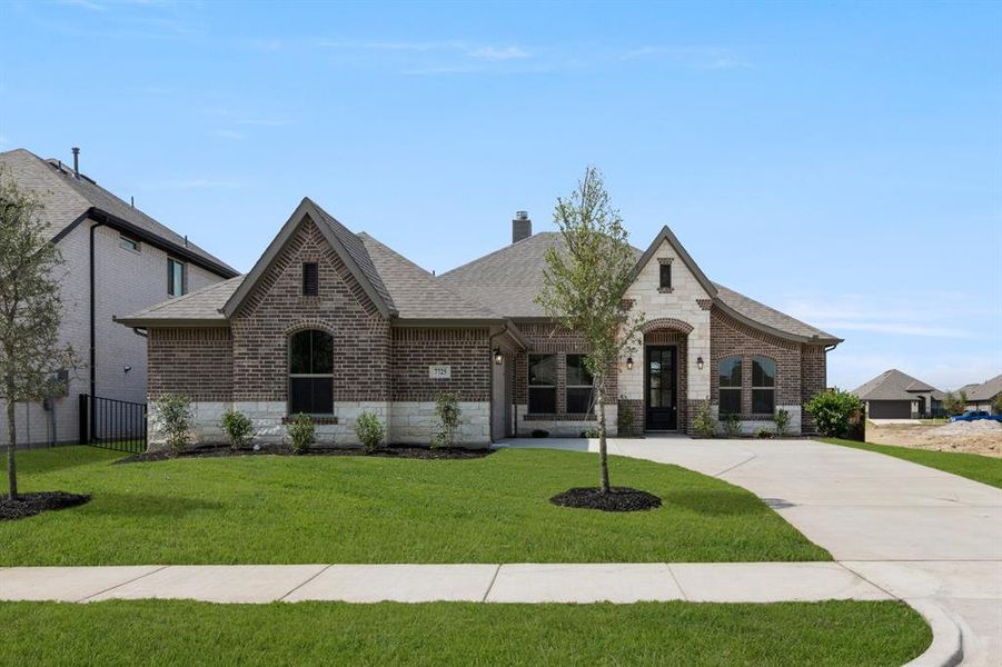 7725 Sweet Sorghum- Front