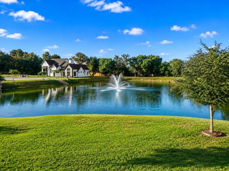 Natural landscape and outdoor views near in Tomball (Image 24). Natural landscape and outdoor views near in Tomball (Image 24).