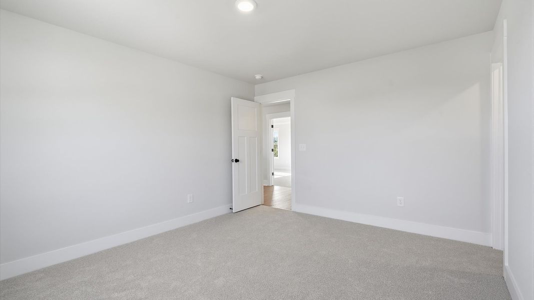 Tasteful bedroom with plush carpet, a walk-in closet, and large windows for abundant natural light