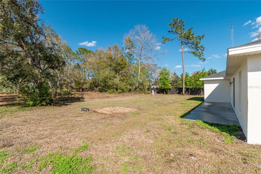 Exterior details and patio area of a home in , Summerfield (Image 21).
