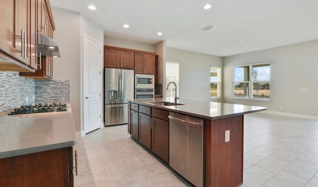 Chef-worthy kitchen with island