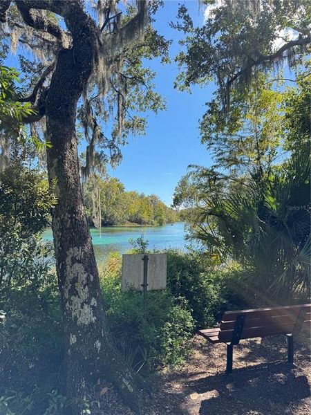 Natural landscape and outdoor views near  in Dunnellon (Image 30).