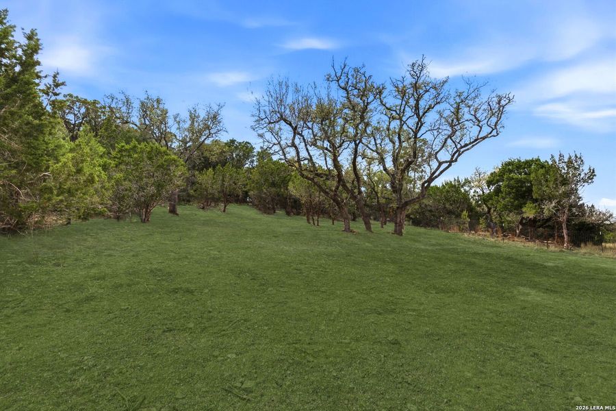 Natural landscape and outdoor views near  in Fischer (Image 43).