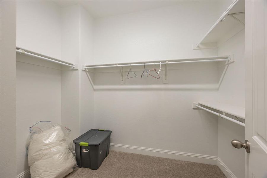 Large primary bedroom walk in closet - View