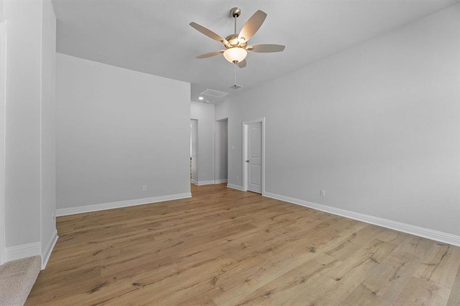 DAL_Painted Tree_Haskell II_4005 Gervais Drive (27)