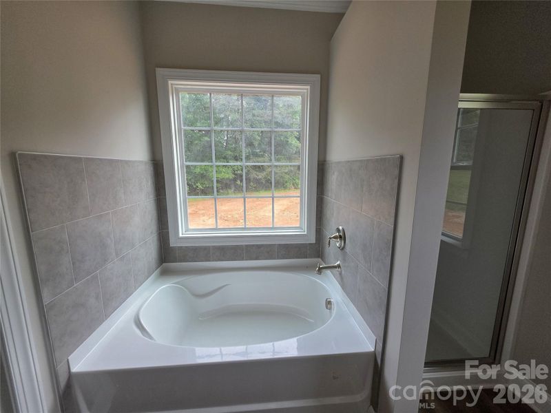 Garden Tub and Shower Garden Tub and Shower