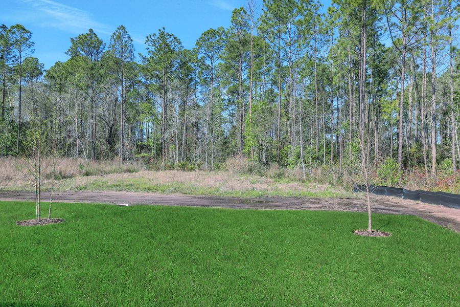 3br New Home in St. Augustine, FL. - Slide 8 3br New Home in St. Augustine, FL. - Slide 8