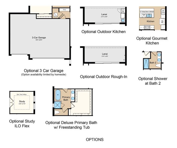 2D floor plan layout of this home in Hammock at Two Rivers, Zephyrhills, FL (Image 5).