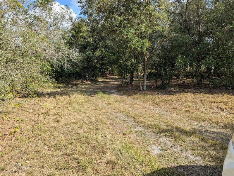 Natural landscape and outdoor views near  in Arcadia (Image 40).