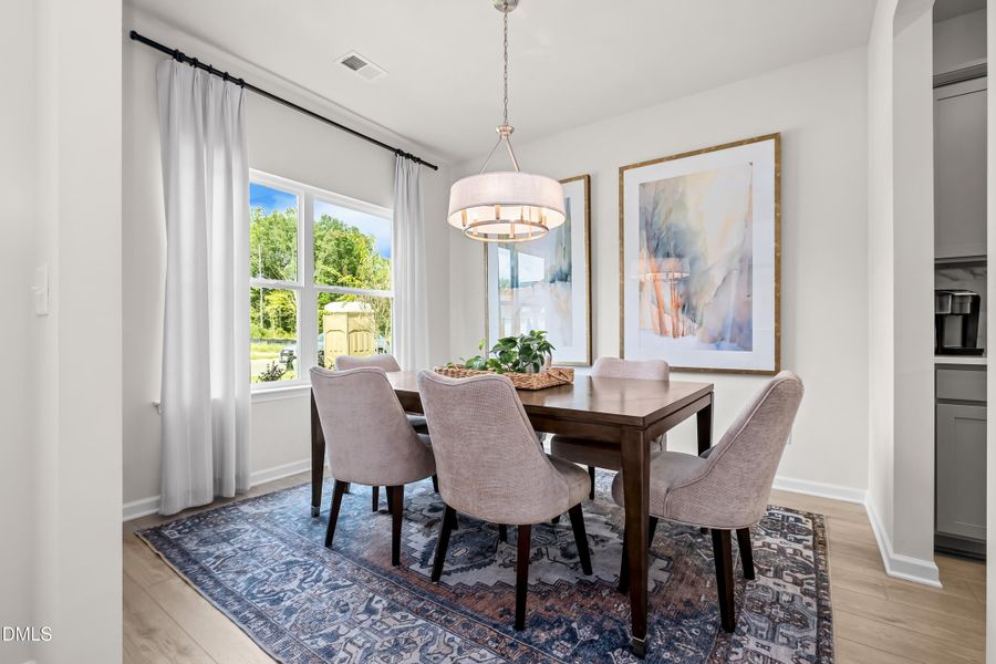 Representational Photo