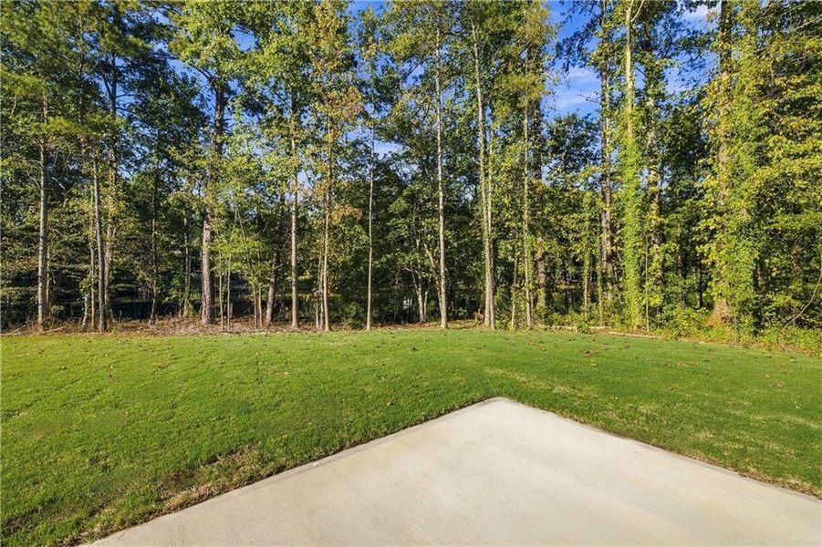 Natural landscape and outdoor views near  in Lawrenceville (Image 43).