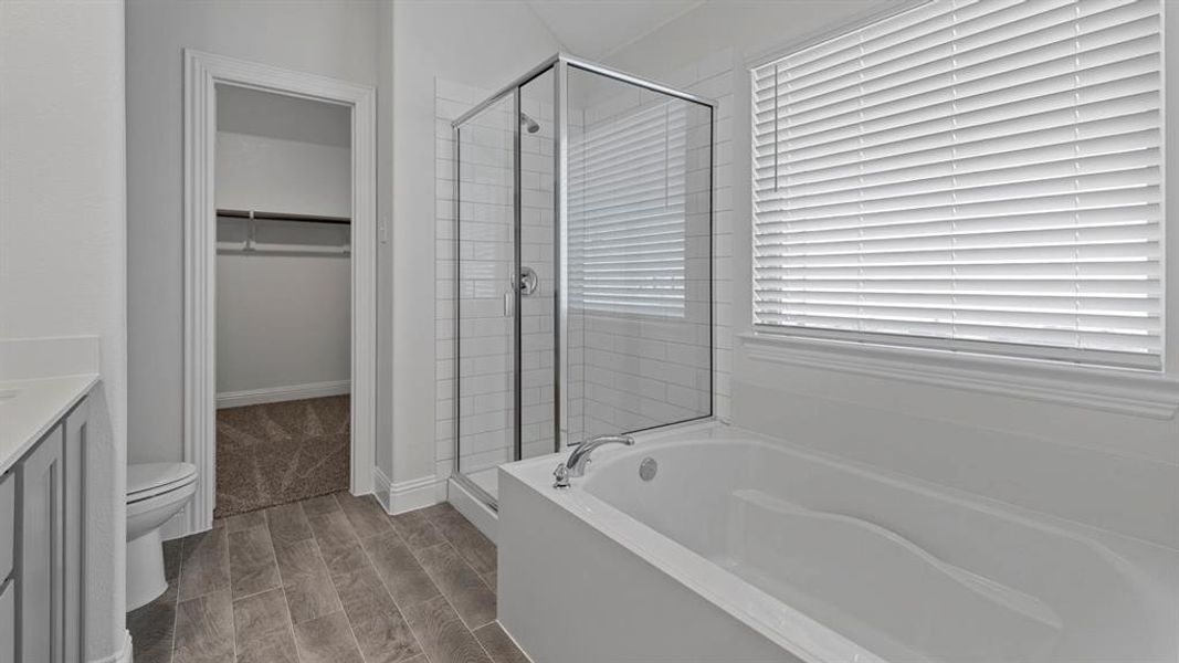 Bathroom with vanity, a garden tub, a stall shower, a walk in closet, and wood finish floors