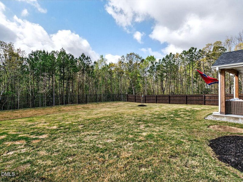 033-1280x960-backyard