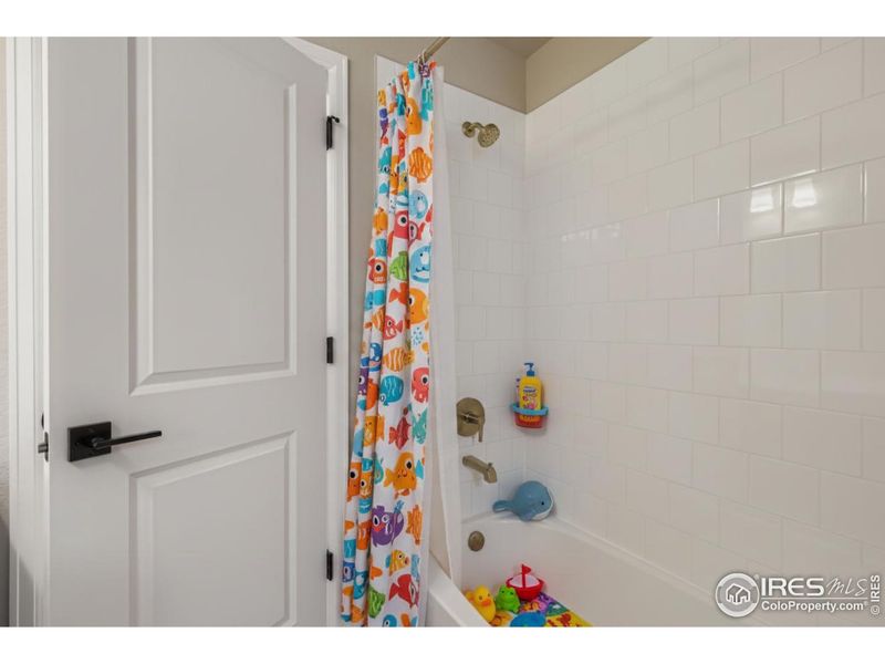 Furnished interior view inside a new home in Waterfield - Single Family Homes, Fort Collins (Image 15).